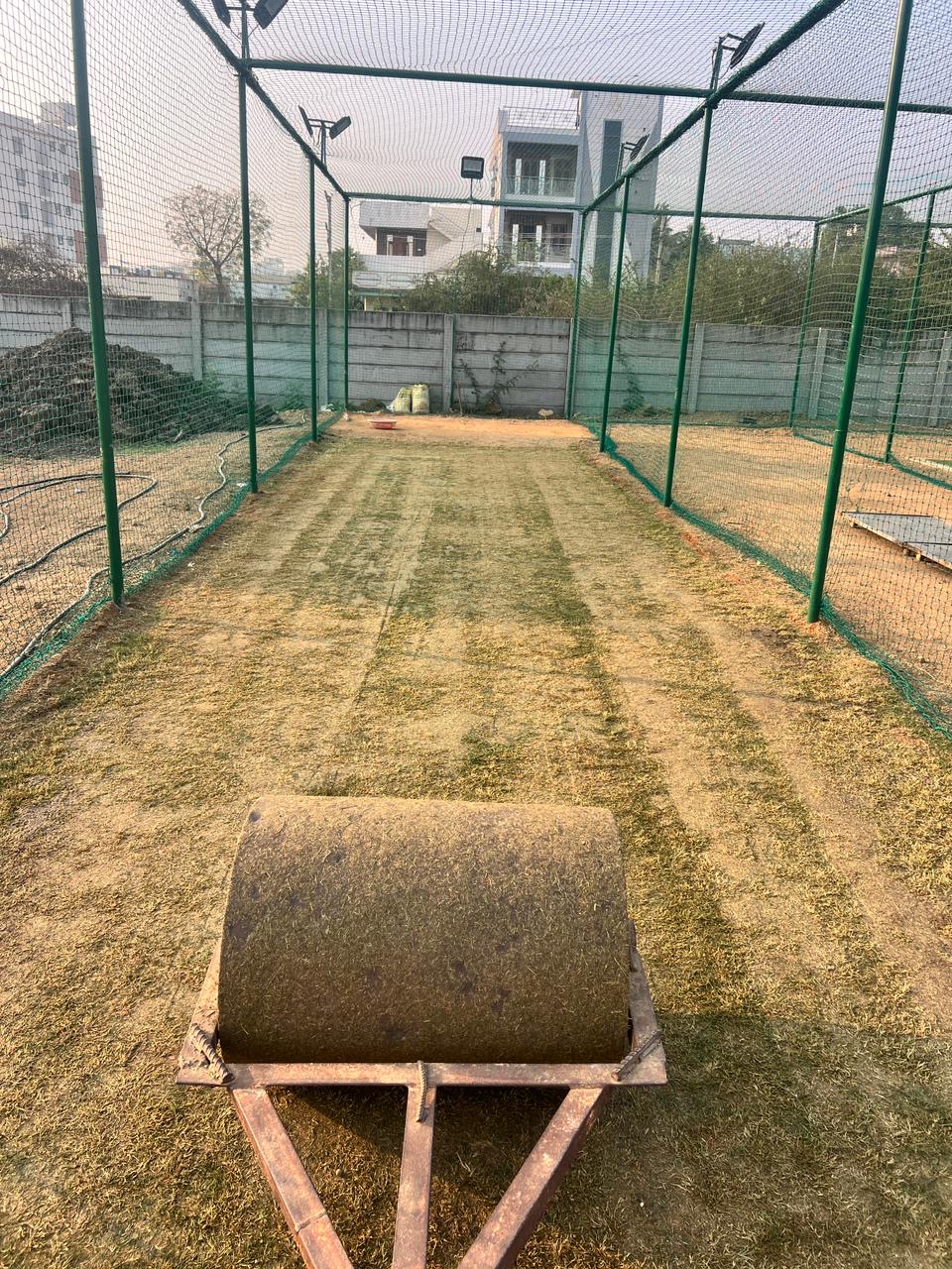 Turf